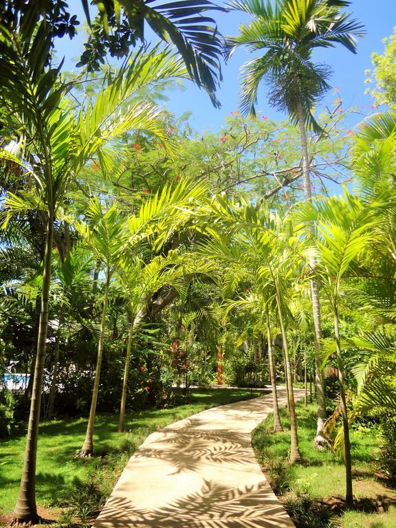 Idle Awhile Villas Negril Extérieur photo